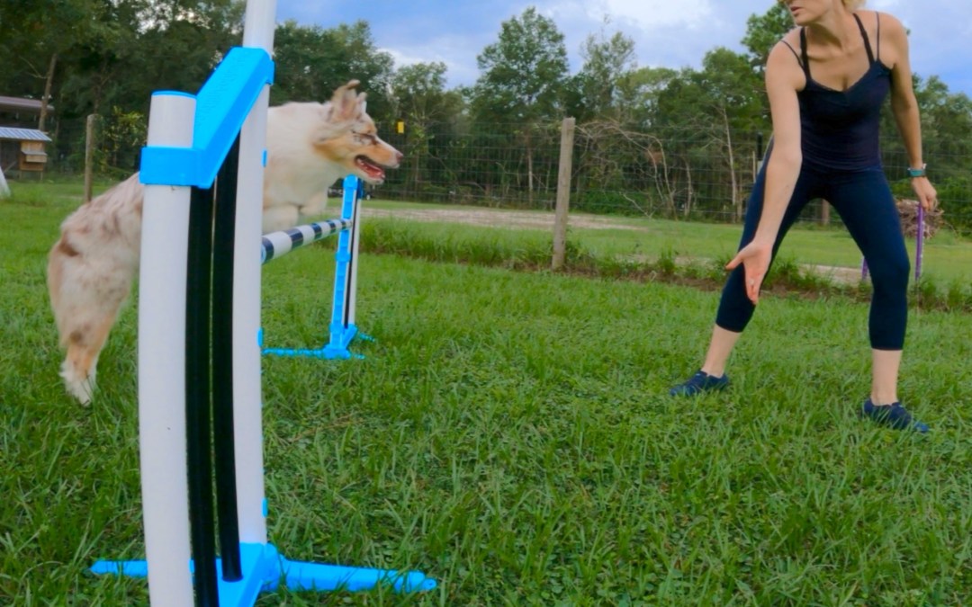 Learning Together: Exciting Workshops & Conferences Coming Up!